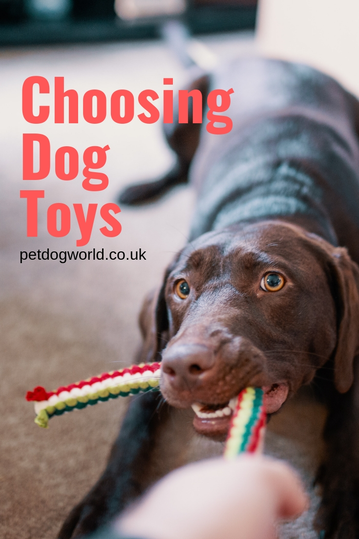Choosing Dog Toys