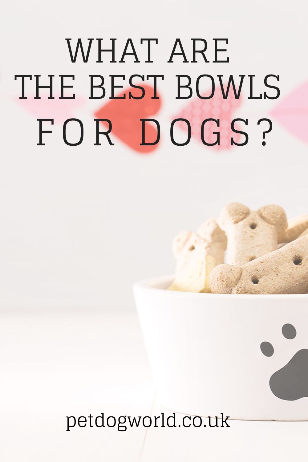 What dog bowls are the best?