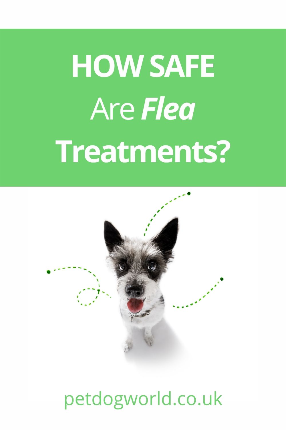 Chemical flea treatments, how safe are they?