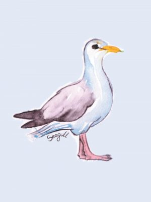 Seagull notebook journal