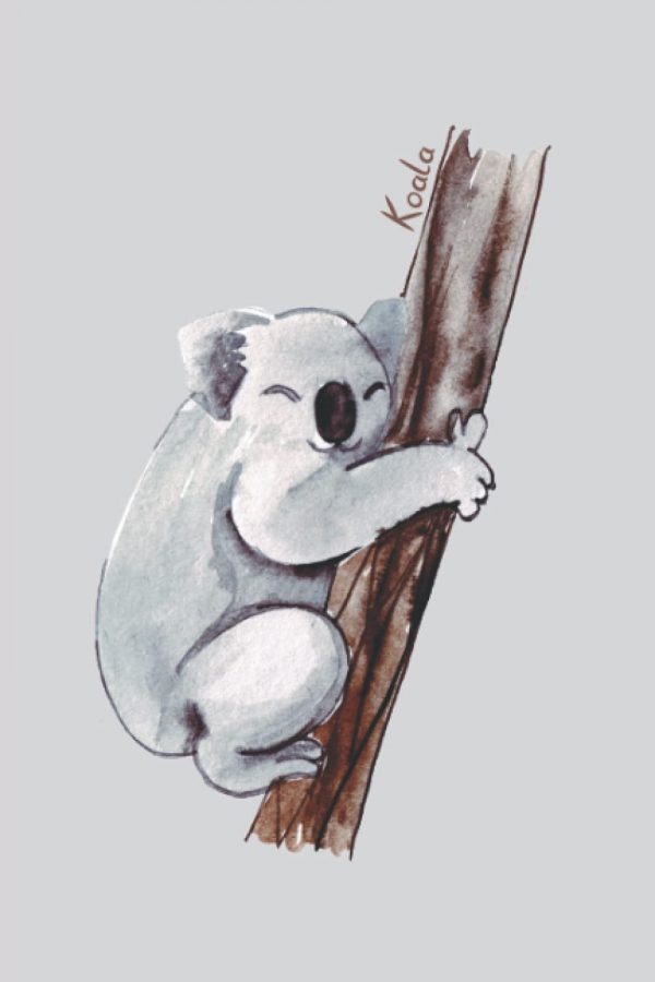 Koala notebook