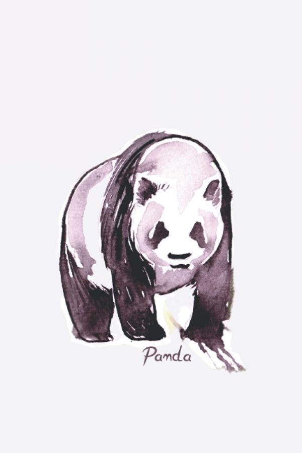 Panda notebook journal