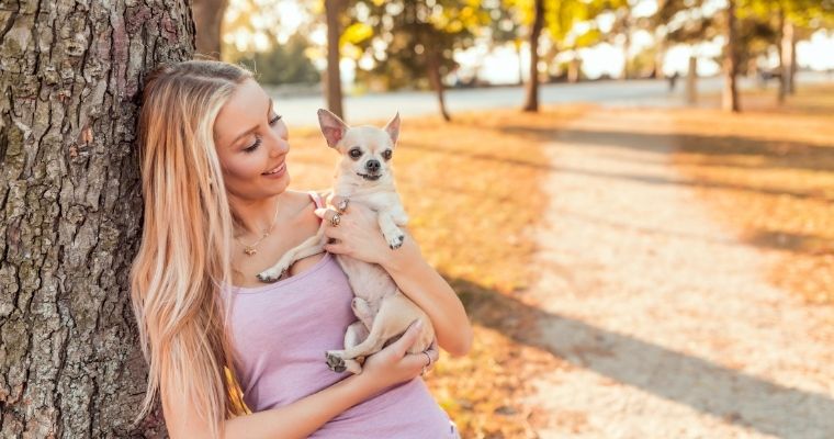 Young woman holding a chihuahua