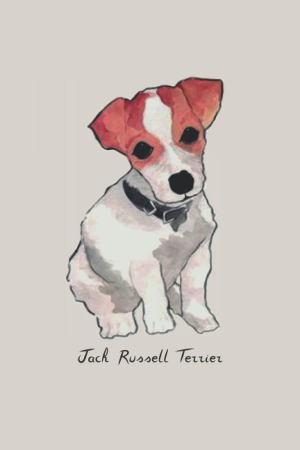 Jack Russell Terrier Notebook