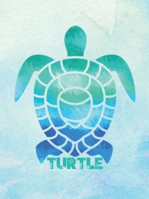 Turtle notebook