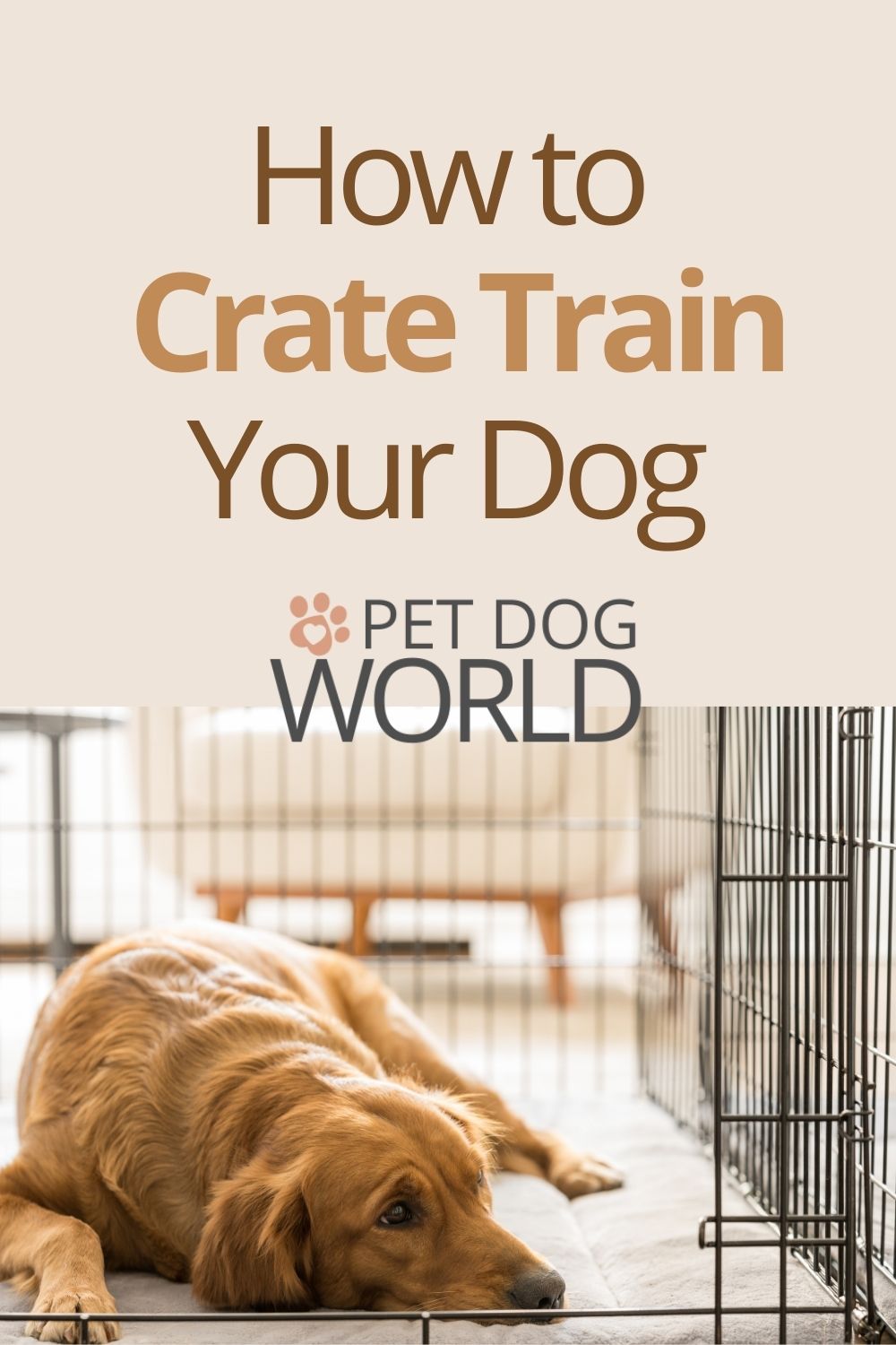 The best method for crate training your dog is through persistence and patience. Dog's will catch on very quickly by following these tips.