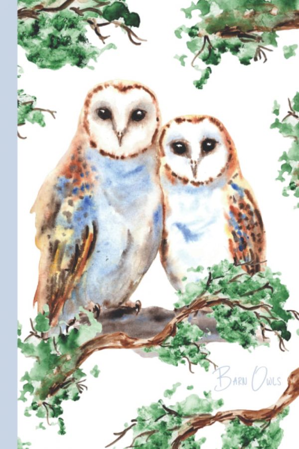 Barn Owls Notebook