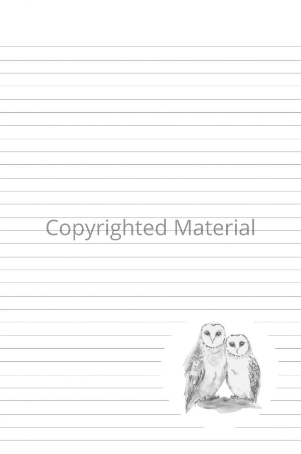 Barn owls notebook interior