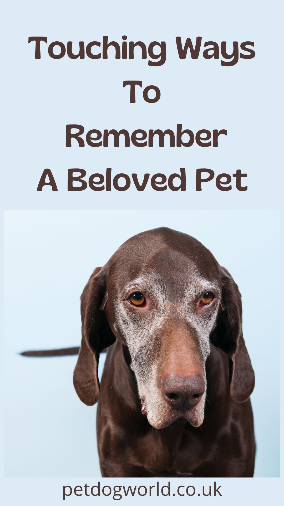 Losing a beloved pet is never easy. Whether it's your loyal dog, your cuddly cat, or a smaller animal, it's hard to deal with no longer having them there to greet you every day. When a pet dies, finding a way to remember them can help you to process the loss.