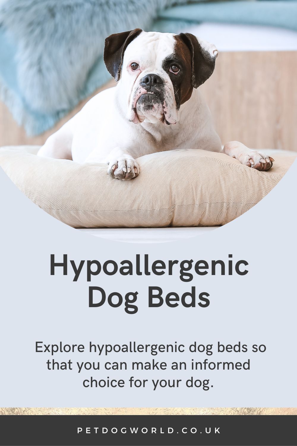 In this article, we will explore hypoallergenic dog beds so that you can make an informed choice for your dog.