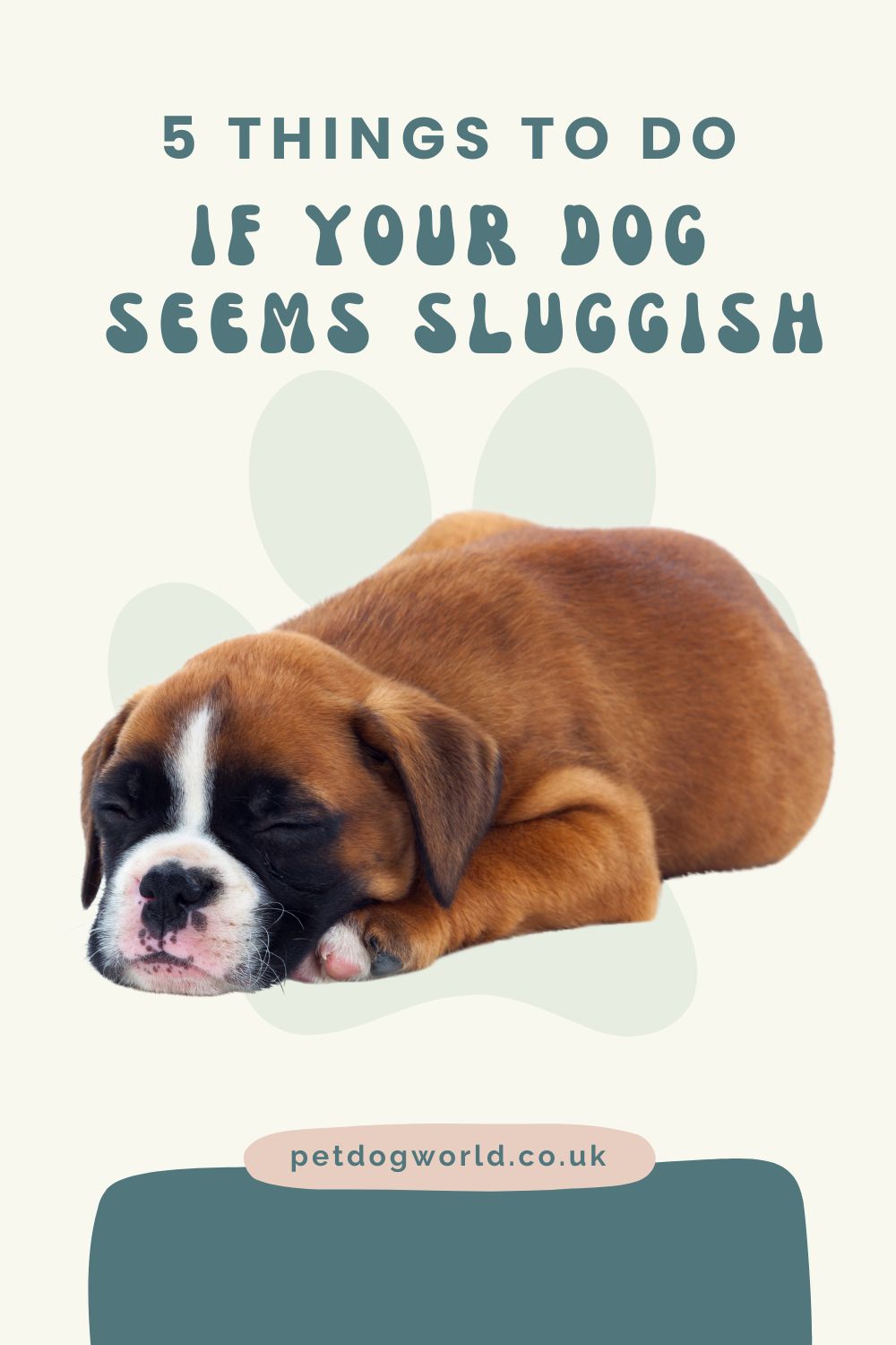 Revive your dog's energy with these 5 fixes for sluggishness. Get them back to their lively self in no time!