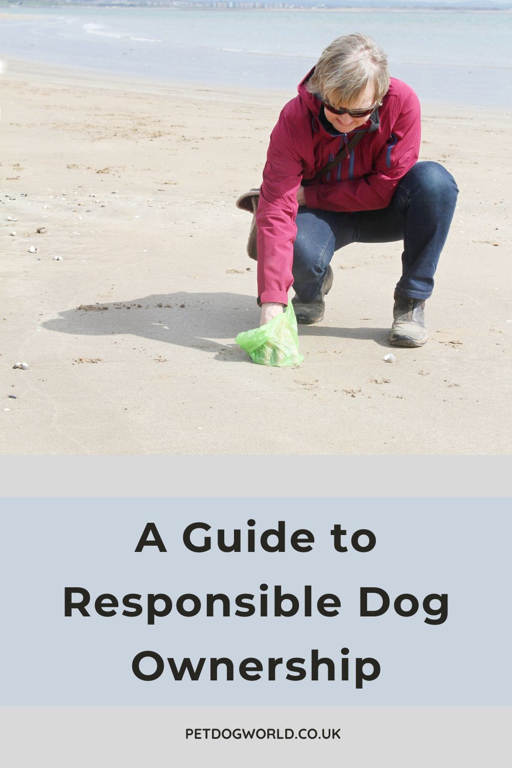 Master the journey of responsible dog ownership with our comprehensive guide covering commitment, care, training, socialization, and the power of love and affection.