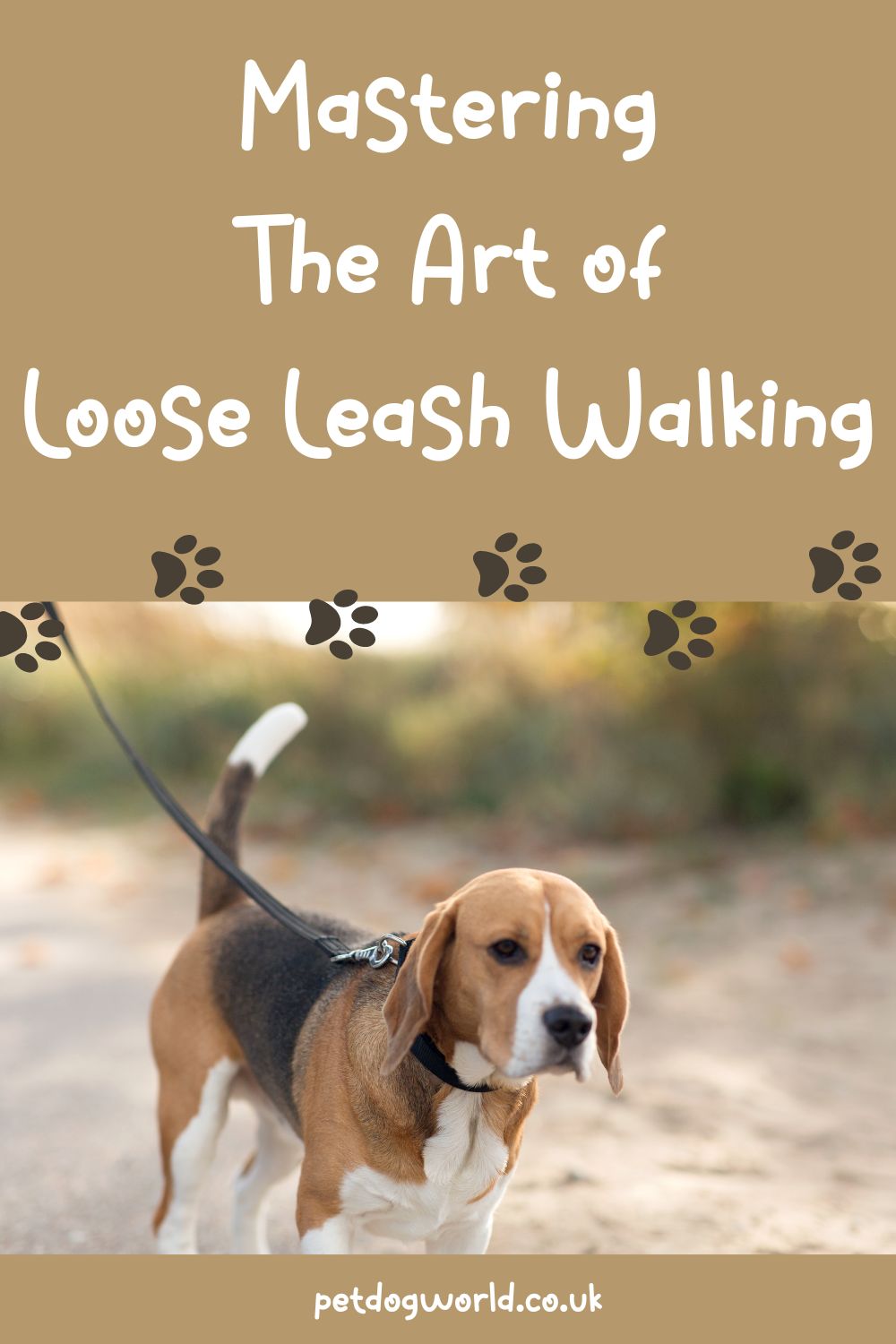 Discover the art of loose leash walking with this comprehensive guide. Learn the importance of this essential skill and follow step-by-step instructions to train your dog for enjoyable, stress-free strolls together.