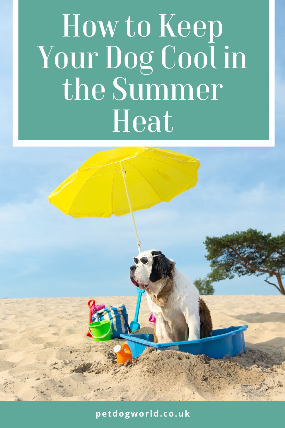Discover how to keep your dog cool and comfortable in the summer heat. From hydration tips to product recommendations and DIY cooling treats, we've got everything you need to help your furry friend beat the heat!