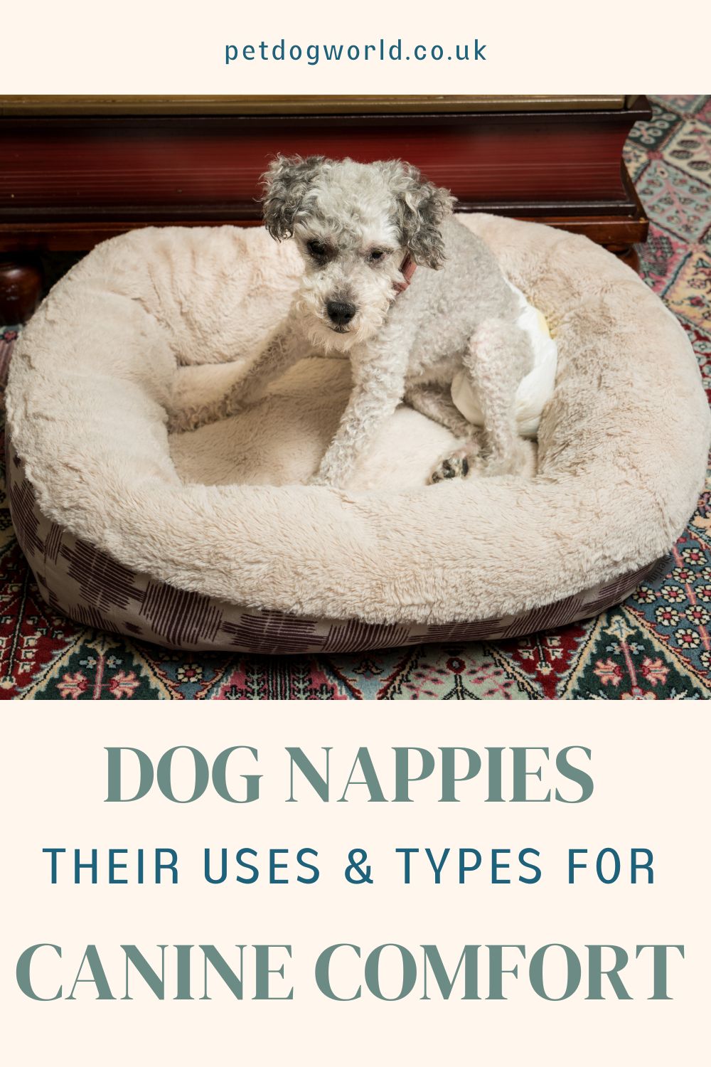 Discover the uses and types of dog nappies in our blog post. From managing incontinence to aiding post-surgery recovery, we explore practical solutions for your dog's comfort.