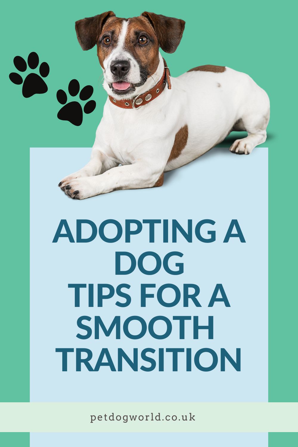 Welcoming a new dog to your family? Ensure a smooth transition for your furry friend with these tips. Make them feel at home and ease their stress.