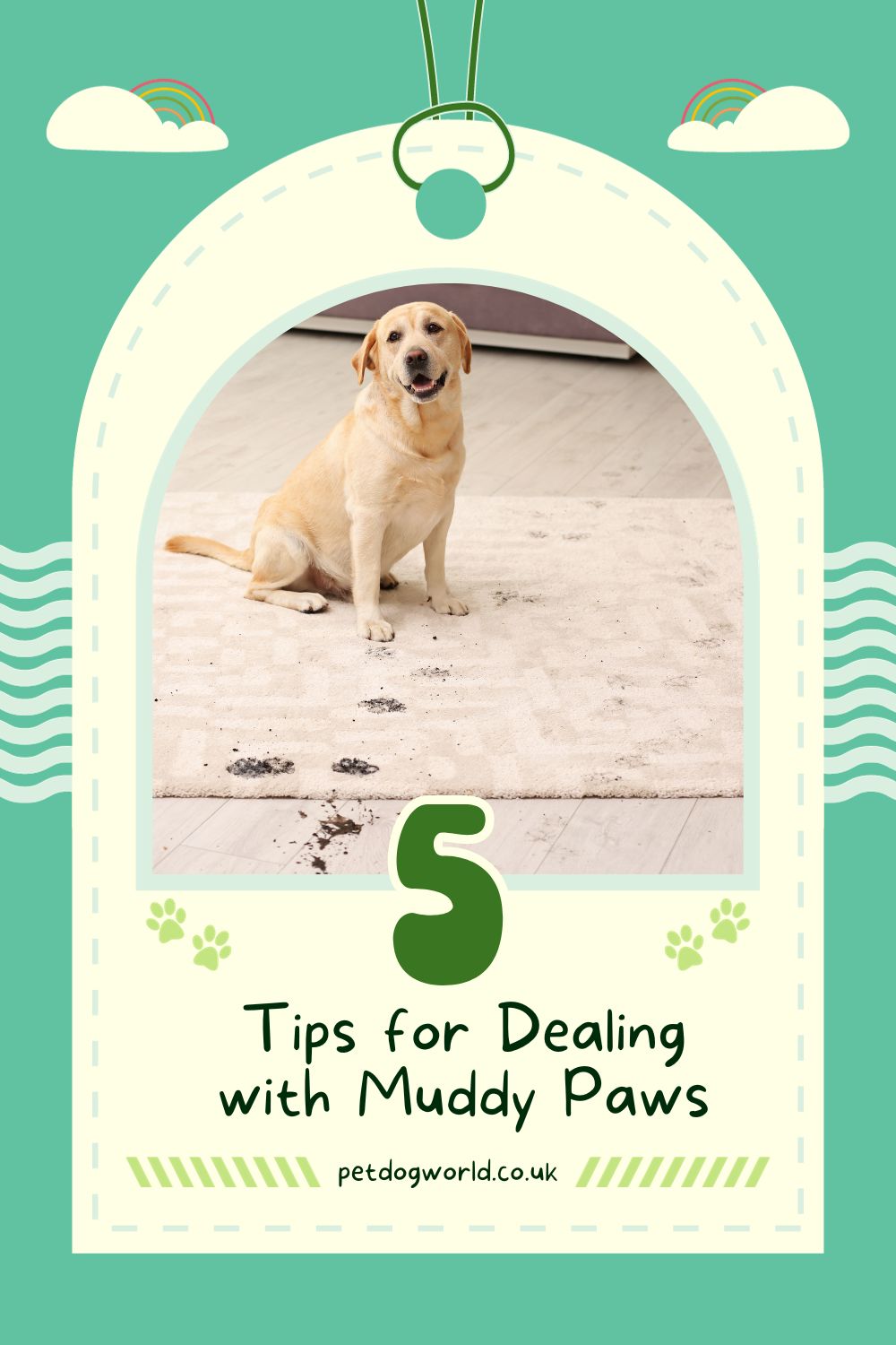 Struggling with a mud-loving dog? Discover 5 tips to keep those paws clean! From avoiding mud to training tricks, reclaim a mud-free home effortlessly.
