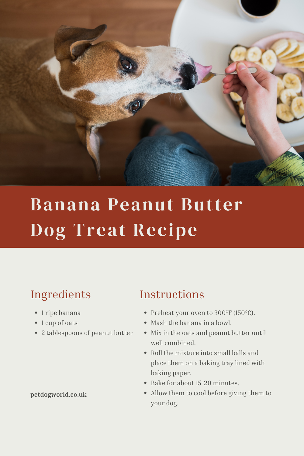 Whip up these easy and healthy Banana Peanut Butter Dog Treats! Packed with dog-friendly ingredients like ripe banana, oats, and peanut butter. Nutrient-rich and delicious.