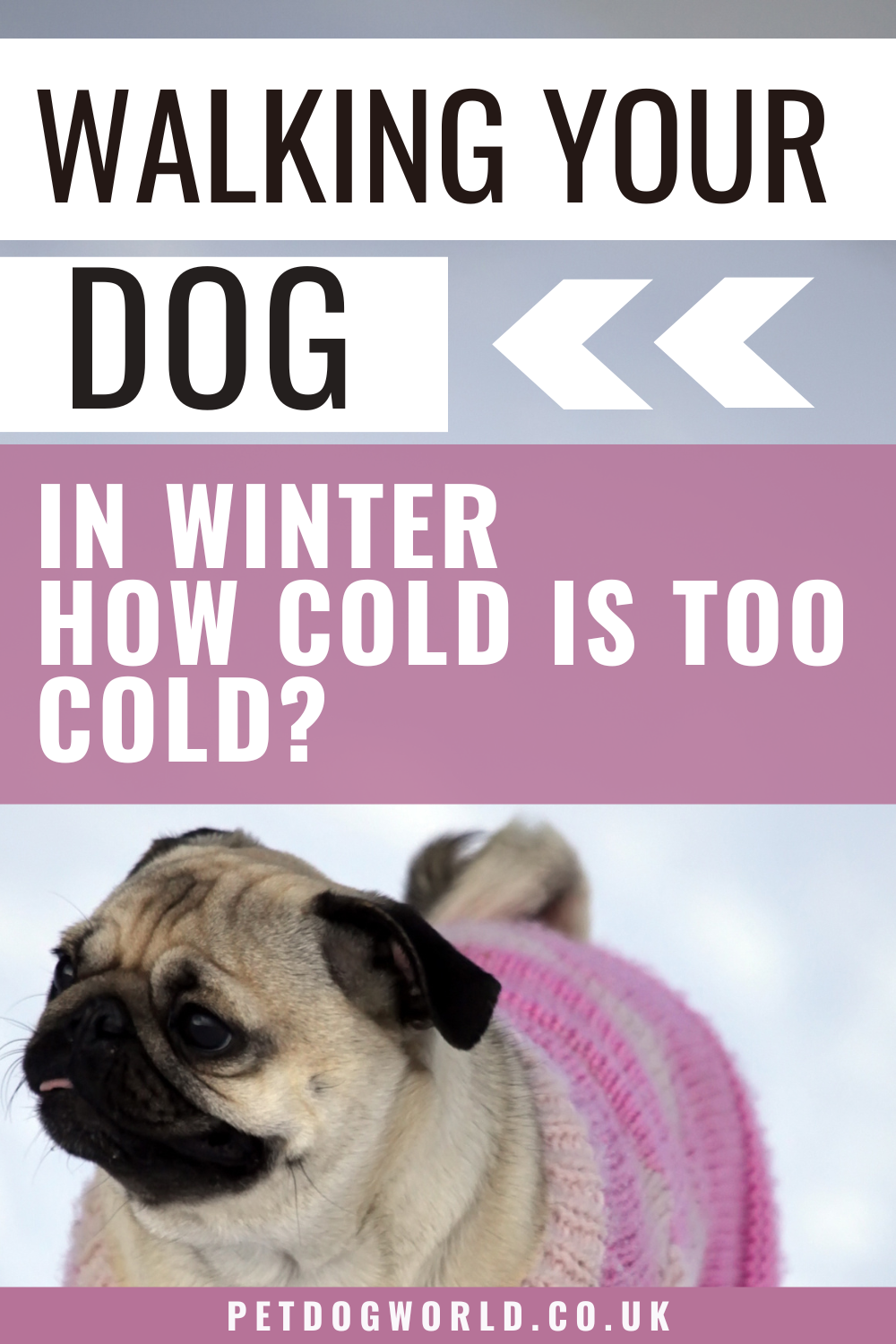 Find out when it's too cold for your dog's winter walk! Learn signs of hypothermia, get tips for safe outings, and discover recommended dog jackets. 
