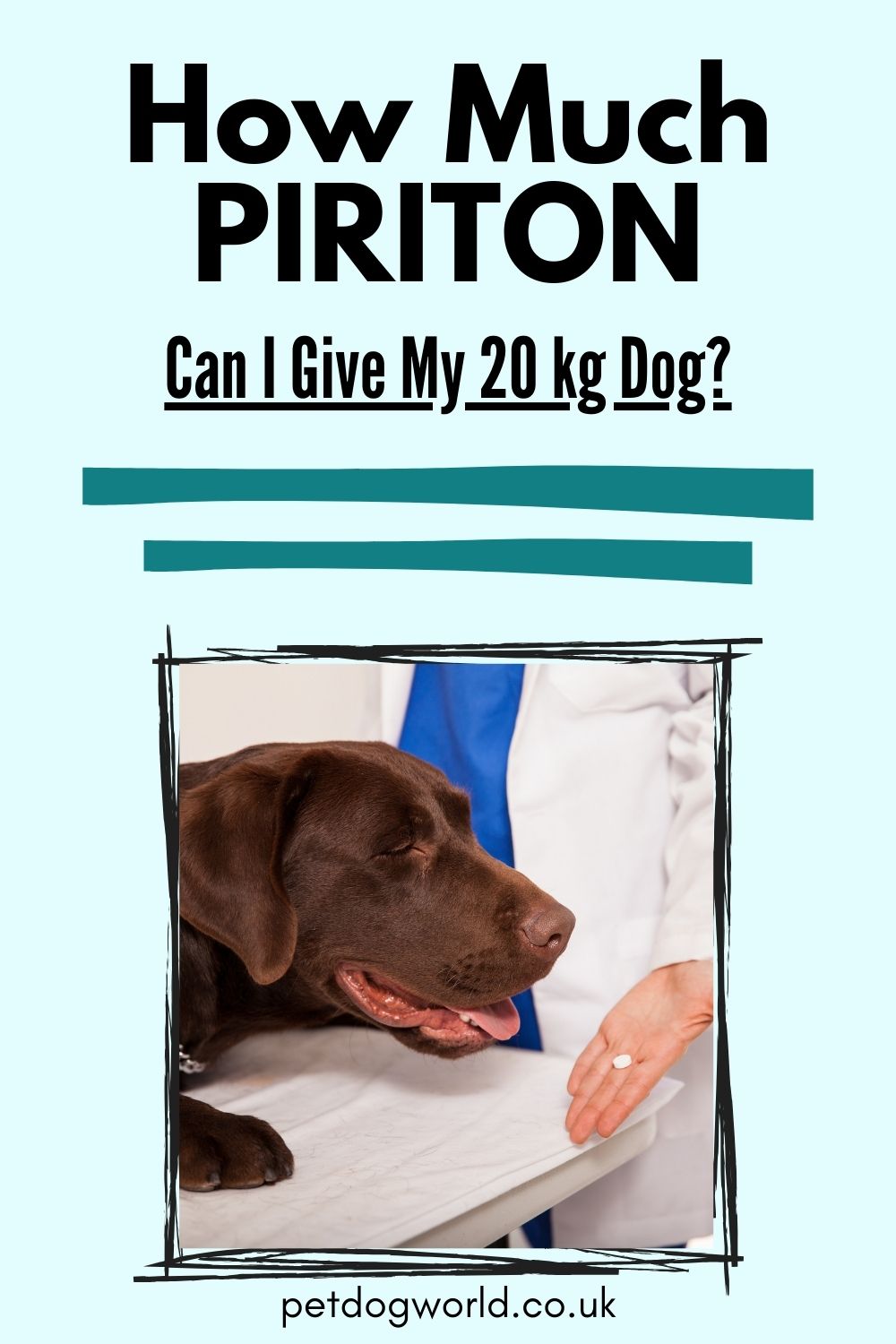 Safely administer Piriton to your 20kg dog for allergies. Learn dosage, administration, & risks to ensure your pet's well-being.